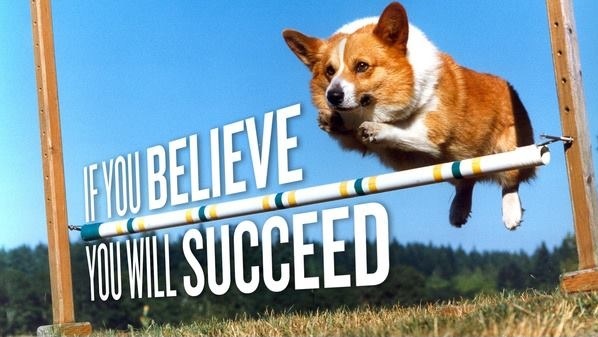 Motivational Corgi